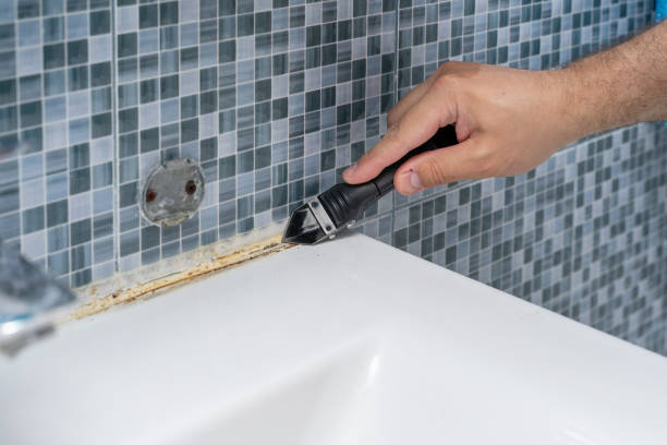 Best Residential Mold Removal  in Beecher, MI