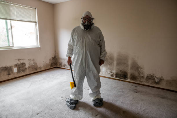 Best Mold Testing  in Beecher, MI